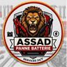 Assad Panne Batterie